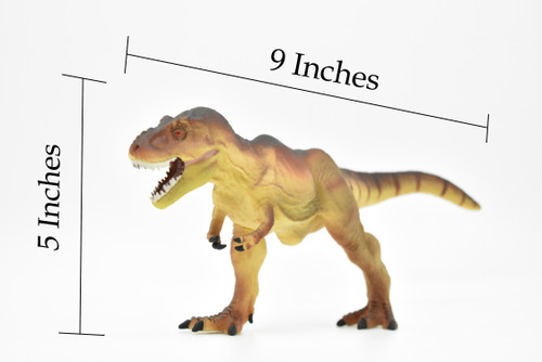 Tyrannosaurus rex, T. Rex, Dinosaur,  Museum Quality Plastic Replica     9"   F7058-B143