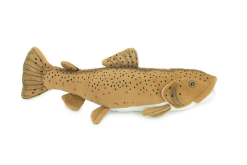 Brown Trout Plush Toy, Realistic Stuffed Animal, Soft Plush Fish, Stuffed Fish, Educational, Toy, Kids, Gift,         17"       F2416 BB53