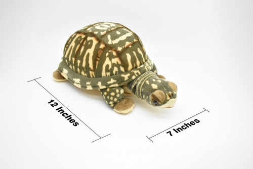 Box Turtle, Tortoise, Turtle, Stuffed Reptile, Educational, Plush Realistic Figure, Lifelike Model, Very Nice Plush Turtle   12"