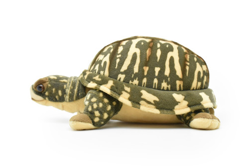 Box Turtle, Realistic, Very Nice Plush Stuffed Animal Toy    12"      F4001 BB53