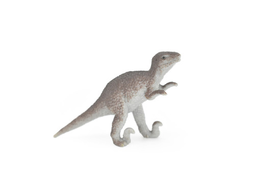 Velociraptor Dinosaur,~ Plastic Replica      2 3/4"       F1864-B4