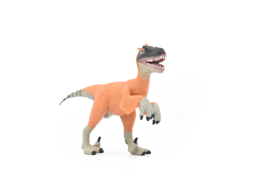 Velociraptor Dinosaur, Museum Quality Plastic Replica    6"     F3052-B2