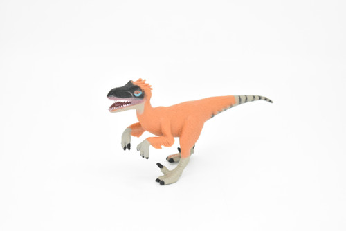 Velociraptor Dinosaur, Museum Quality Plastic Replica    6"     F3052-B2