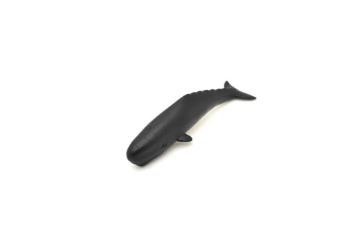 Sperm Whale,  Plastic Replica     3"W x 1"H      F0005-B23