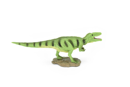 Gigantosaurus Dinosaur, Museum Quality, Animal, Educational, Realistic Hand Painted, Figure, Lifelike Model, Vintage Replica, Toy,  4 Inches.