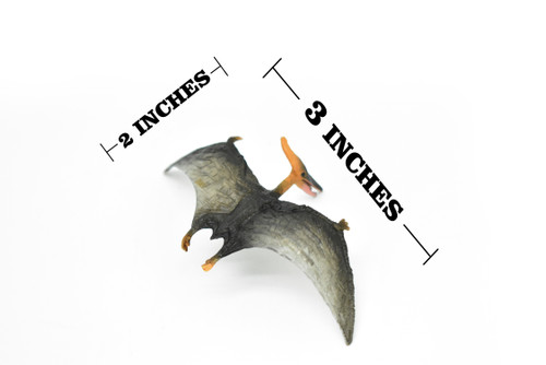 Pteranodon Dinosaur, Museum Quality, Animal, Educational, Realistic Hand Painted, Figure, Lifelike Model, Vintage Replica, Toy,  3 Inches. 