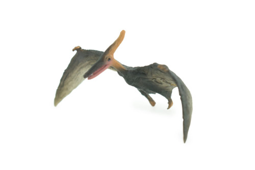 Pteranodon Dinosaur, Museum Quality, Animal, Educational, Realistic Hand Painted, Figure, Lifelike Model, Vintage Replica, Toy, Gift,    3 Inches.    F8121 B117