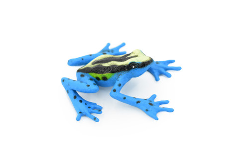 Blue and Yellow Brazilian Dyeing Poison Dart Frog, Hand Painted, Amphibian, Hard Rubber, Realistic Frog, Toy, Kids, Educational, Gift,     2 1/2" 