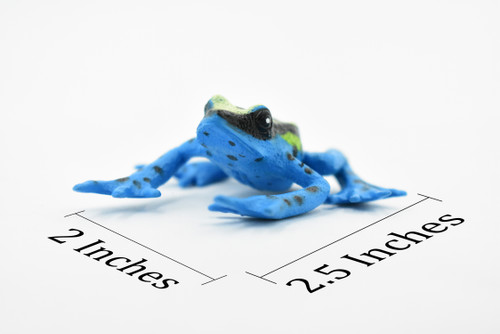 Frog, Blue Yellow Dyeing Dart Frog Plastic Toy Amphibian, Realistic Figure, Model, Replica, Kids, Educational, Gift     2 1/2"   F4403 B9