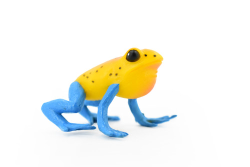 Blue Legged Mantella Frog, Madagascar, Hand Painted, Amphibian, Hard Rubber, Realistic Frog, Replica, Toy, Kids, Educational, Gift,      2"  