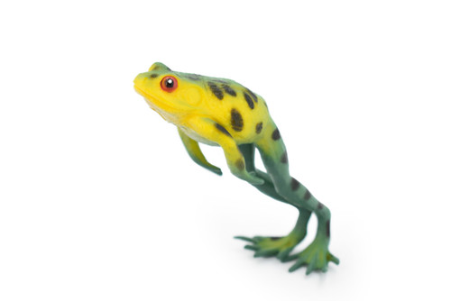 Northern Leopard Pond Frog, Leaping, Green and Yellow, Hand Painted, Amphibian, Hard Rubber, Realistic Frog, Toy, Kids, Educational, Gift,   3 1/2"  