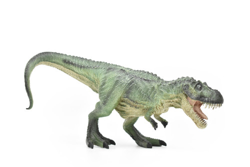 Tyrannosaurus rex, T. Rex, Dinosaur, Museum Quality Plastic Replica   10"   M017-B632