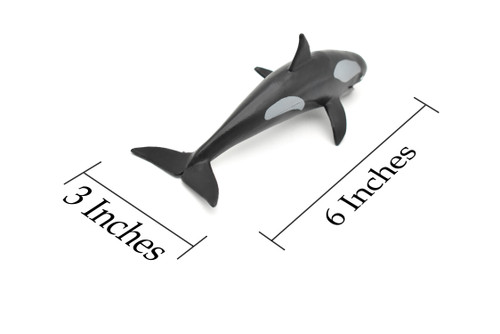 Orca, Killer Whale, Realistic Model Rubber Replica Animal, Kids Educational Gift  6"   OK03 B611