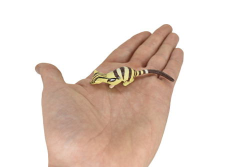 Civet Banded Palm, Hardwicke's civet, Hand Painted, Realistic, Very Nice Rubber Design, Educational, Diorama Model, Lifelike, Toy,  3 Inches. 