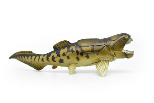 Dunkleosteus, Ancient Extinct Fish, Museum Quality Plastic Replica       7"     F1355 B57
