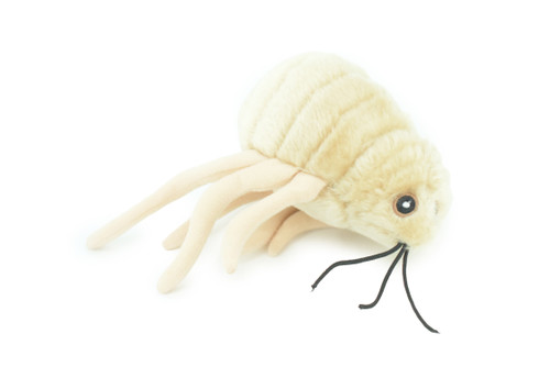 Flea, Parasitic Insect, Jumping pests, Bloodsuckers, Plush Design, Educational, Figure, Replica, Gift,    8"    F1562 B92