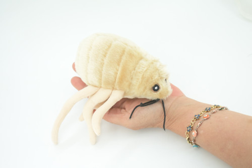 Flea, Parasitic Insect, Jumping pests, Bloodsuckers, Plush Design, Educational, Figure, Replica, Gift,    8"    F1562 B92