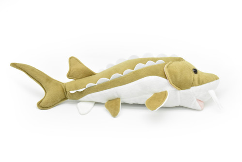 plush sturgeon