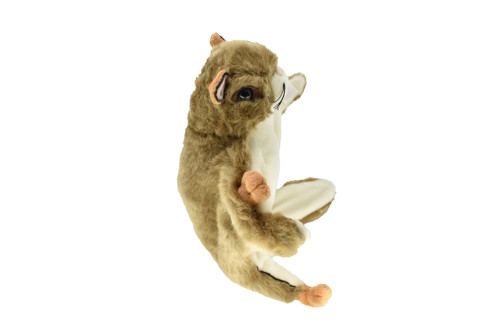 stuffed squirrel for sale