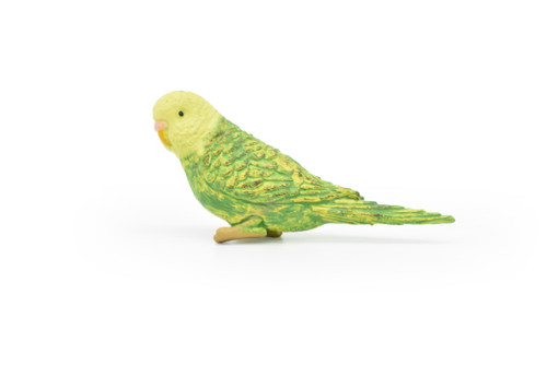 Parakeet, Green, Budgerigars, Budgies, Very Nice Rubber Bird, Educational, Realistic, Hand Painted, Figure, Lifelike Model, Gift,   2 1/2" 