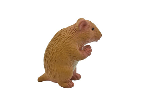 hamster plastic