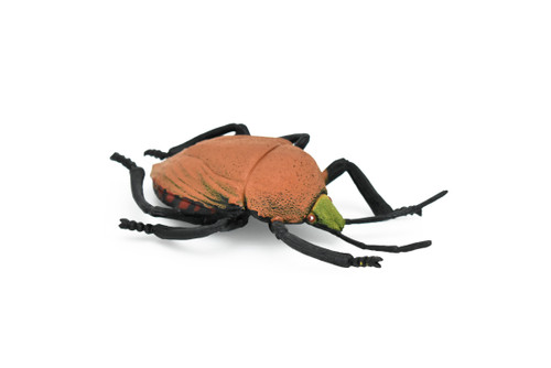 Beetle, Japanese, brown Very Nice Plastic Replica    5"   -    F2066 B133