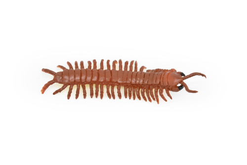 Centipede, Giant, Red, Very Nice Rubber Insect, Educational, Hand Painted, Realistic, Replica, Toys, Kids, Gift,   3 1/2 Inches.