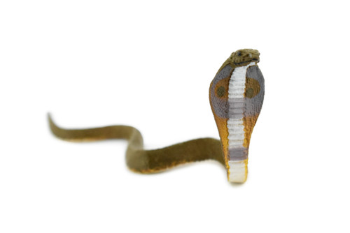 Common Indian Cobra, Rubber Snake, Reptile, Educational, Realistic, Hand Painted, Figure, Lifelike, Toys, Kids, Gift,     4 Inches. 
