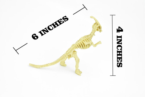 Parasaurolophus Dinosaur, Skeleton, Very Nice Plastic Replica    6"     F3283 B61