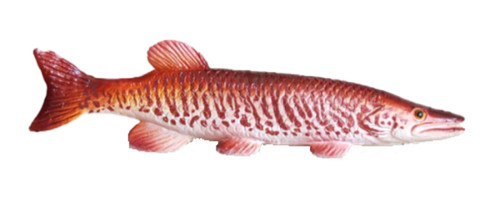 邦楽 back number then fish Muskellunge Plastic Fish realistic 3 1/8 inches long - F3439 B89