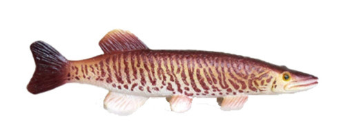 Tiger Muskie Plastic Fish realistic 3 1/8 inches long - F3436 B89 -  Collectible Wildlife Gifts