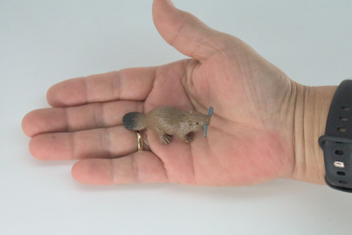 Beaver, Brown Castor, Very Nice Rubber Animal, Educational, Realistic Figure, Lifelike Model, Figurine, Toy, Kids,  Gift,    2 1/4 Inches.      F3534 B138