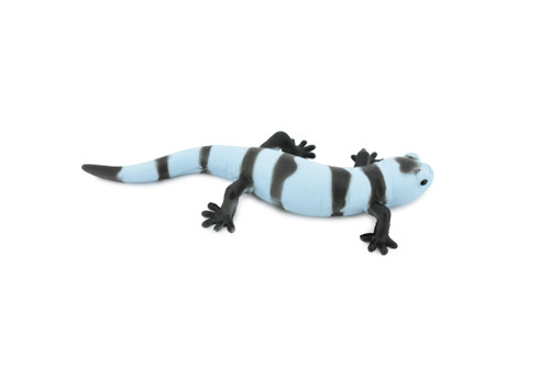 Salamander, Blue and Black, Rubber Amphibian, Educational, Realistic, Hand Painted, Figure, Lifelike Model, Figurine, Replica, Gift,       4"          F419 B9