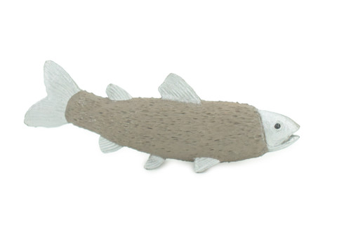 Furry Trout, Legendary Fish, Rubber, Hand Painted, Realistic, Figure, Model, Replica, Toy, Kids, Educational, Gift, 3" F4232 B376 