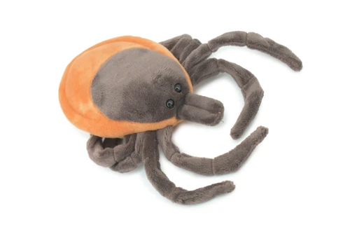 Tick, Ixodida, Arachnid, Parasitiformes Insect, Educational, Plush Design, Bloodsuckers, Bug, Very Nice Figure, Diorama Model, Great Gift,   8 Inches. 