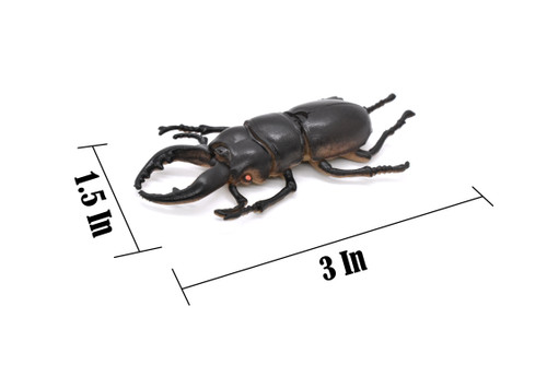 Stag Beetle, Lucanus cervus, Realistic Rubber Model, Bug, Insect, Educational, Hand Painted, Figure, Lifelike, Model, Figurine, Replica, Toy, 3 Inches  