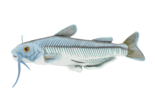 Blue Catfish, Fish, Realistic, Very Nice Plush Animal           10"      F4603 BB61