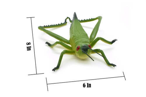 Grasshopper, Locusts, Caelifera, Realistic Rubber Model, Bug, Insect, Educational, Hand Painted, Figure, Lifelike, Model, Figurine, Replica, Toy, 8 Inches. 