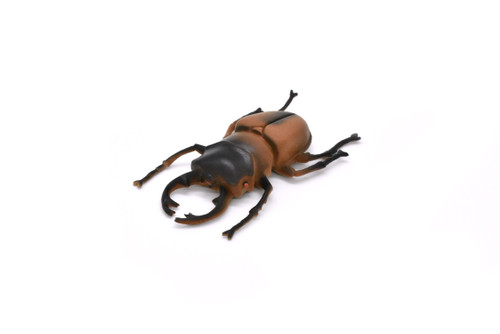 Stag Beetle, Lucanus cervus, Realistic Rubber Model, Bug, Insect, Educational, Hand Painted, Figure, Lifelike, Model, Figurine, Replica, Toy, 2 1/2 Inches 