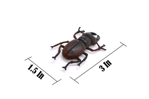 Stag Beetle, Lucanus cervus, Realistic Rubber Model, Bug, Insect, Educational, Hand Painted, Figure, Lifelike, Model, Figurine, Replica, Toy, 2 3/4 Inches  