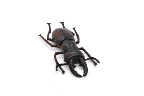 Stag Beetle, Lucanus cervus, Realistic Rubber Model, Bug, Insect, Educational, Hand Painted, Figure, Lifelike, Model, Figurine, Replica, Toy, 2 3/4 Inches  