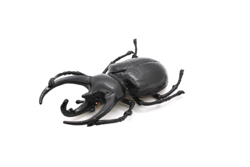 Rhinoceros Beetle, Very Nice Rubber Reproduction    2 3/4"    CWG04 B13