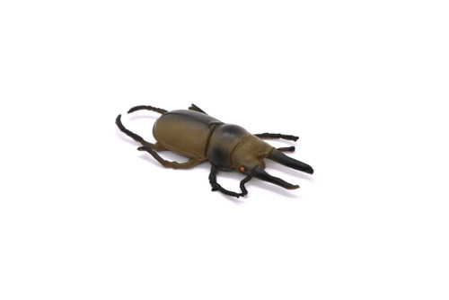 Stag Beetle, Lucanus cervus, Realistic Rubber Model, Bug, Insect, Educational, Hand Painted, Figure, Lifelike, Model, Figurine, Replica, Toy, 2 1/4 Inches  