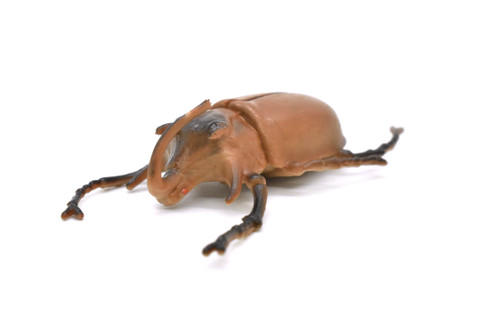 Stag Beetle, Lucanus cervus, Realistic Rubber Model, Bug, Insect, Educational, Hand Painted, Figure, Lifelike, Model, Figurine, Replica, Toy,  2 1/4 Inches 