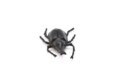 Elephant Beetle, Megasoma elephas, Realistic Rubber Model, Bug, Insect, Educational, Hand Painted, Figure, Lifelike, Model, Figurine, Replica, Toy, 2 Inches. 