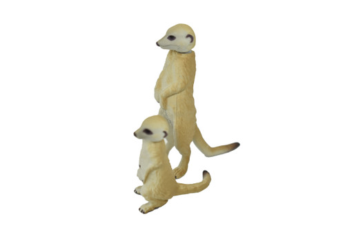 Meerkat, Mother and Baby, Suricata suricatta, Very Nice Plastic Animal, Hand Painted, Realistic, Educational, Figure, Lifelike, Diorama Model, Replica, Toy,  2 Inches. 
