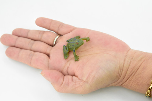 Frog, Green Bull Frog, Very Nice Plastic Design, Educational, Diorama, Realistic Figure, Lifelike, Replica, Toy, Kids, Gift,   1 1/2 Inches. 