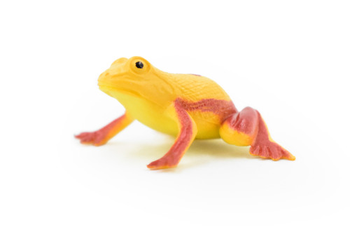Panamanian golden frog, Poison Dart Fire Frog, Arrow Frog, Very Nice Plastic Design, Educational, Diorama, Realistic Figure, Toy, Kids, 1 1/2 Inches. 