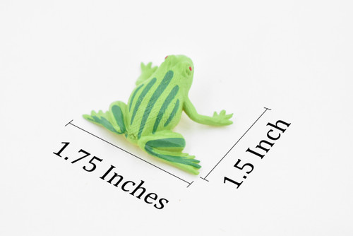 Green Striped Frog, Giant Burrowing Frog, Very Nice Plastic Design, Educational, Diorama, Realistic Figure, Toy, Kids,  1 1/2 Inches.