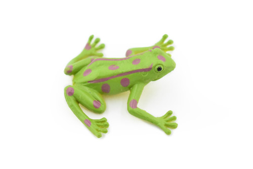 Frog, Green Spotted Frog, Plastic Toy, Realistic, Figure, Model, Replica, Kids, Educational, Gift,      1 1/2"    CWG22 B47